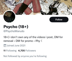Psychowarudo twitter account screenshot 