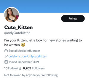 Only cute kitten twitter account screenshot 