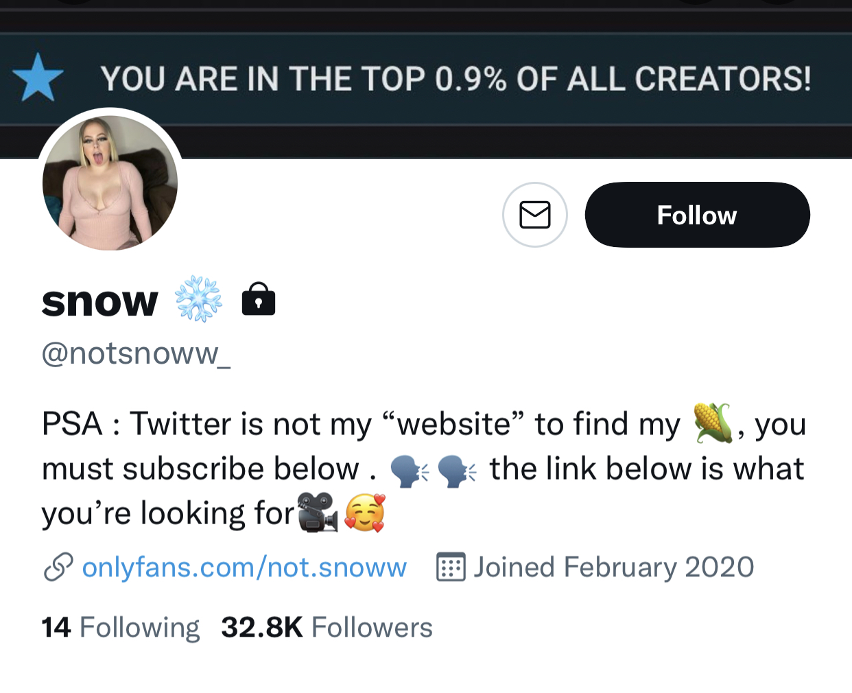 notsnoww twitter profile